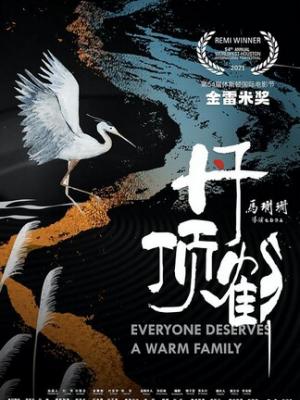 山月不知 封面